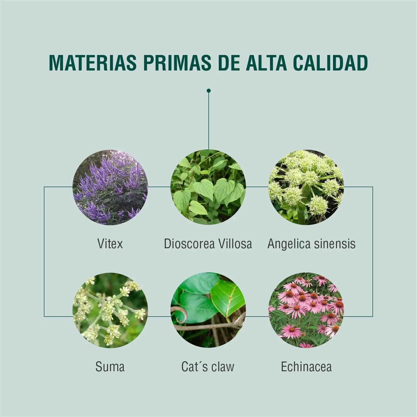 Hormobalance Adaptógeno